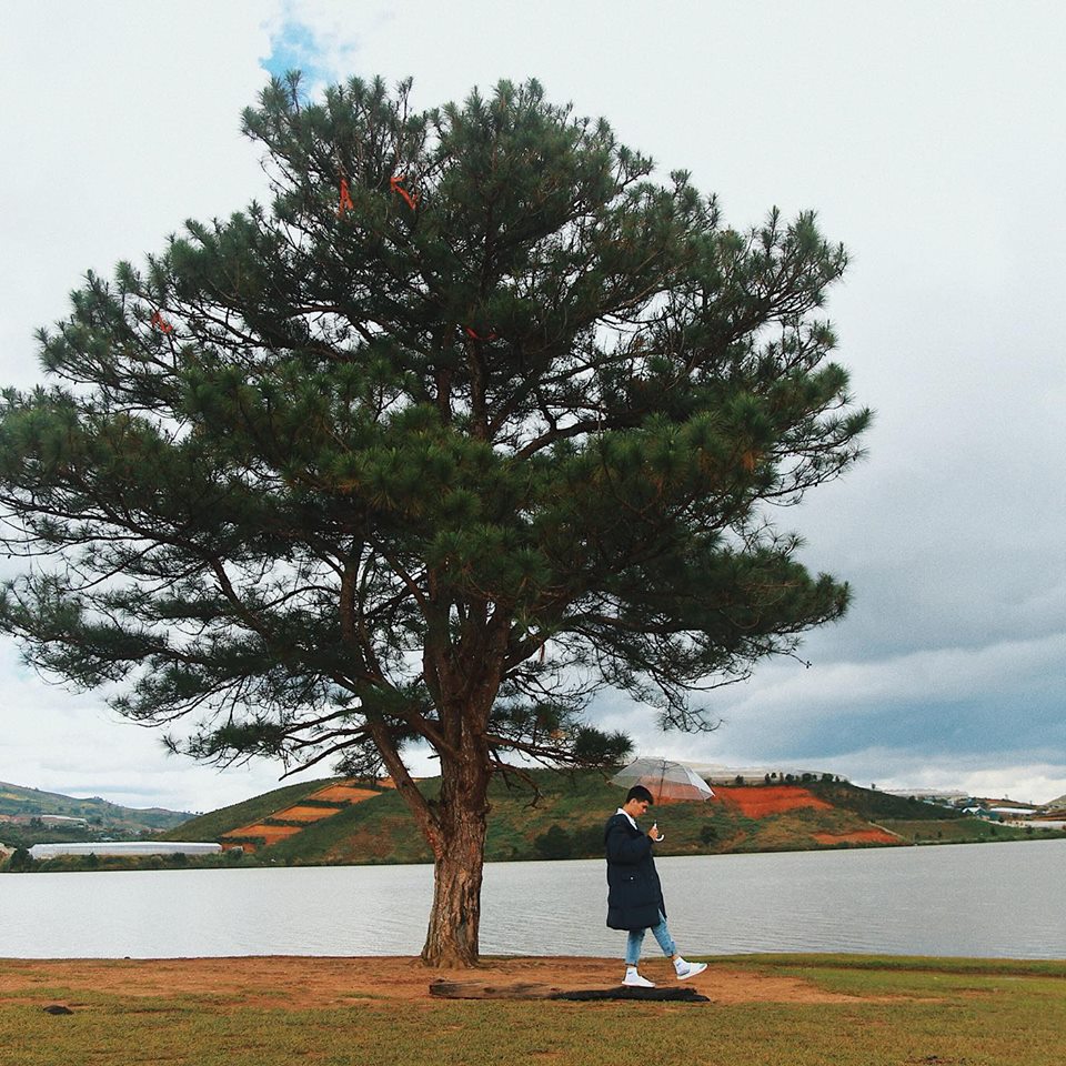 Suối Vàng Đà Lạt